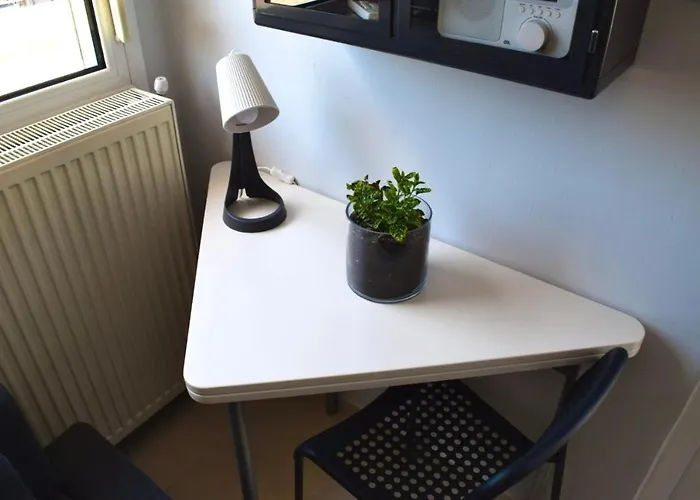 Daire Horizon /downtown Penthouse W/ Massive Terrace *