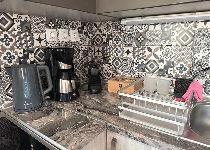 Horizon /downtown Penthouse W/ Massive Terrace Daire